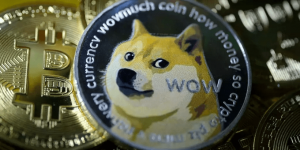 Dogecoin – Meaning, working, purchase and much more