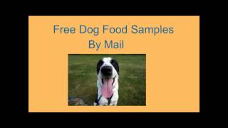 Where to Get Free Dog Food Samples: 12 Options for Free Samples!: No-Cost Nomming for Dogs