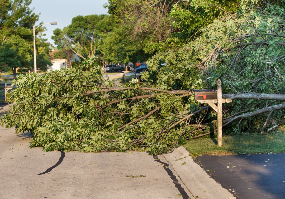 5 Reasons Your Mail Might Not Be Delivered, USPS Warns — Best Life