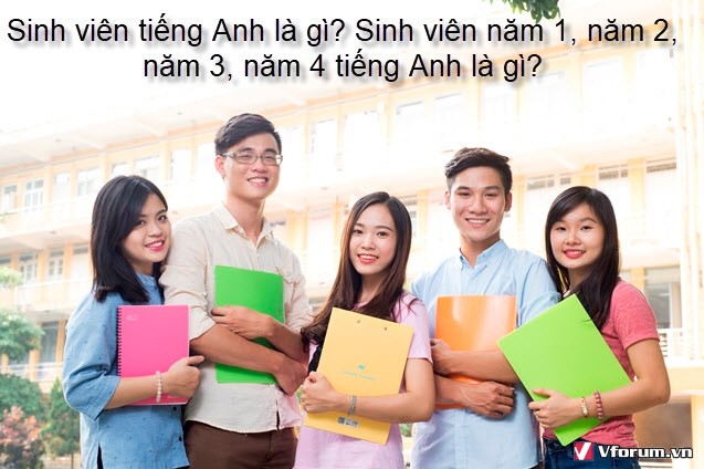 Sinh viên trong tiếng anh là gì