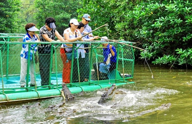 Cần giờ có gì vui | Lesgo